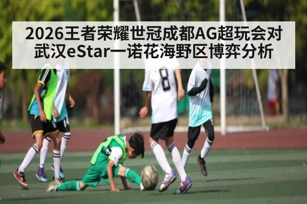 2026王者荣耀世冠成都AG超玩会对武汉eStar一诺花海野区博弈分析